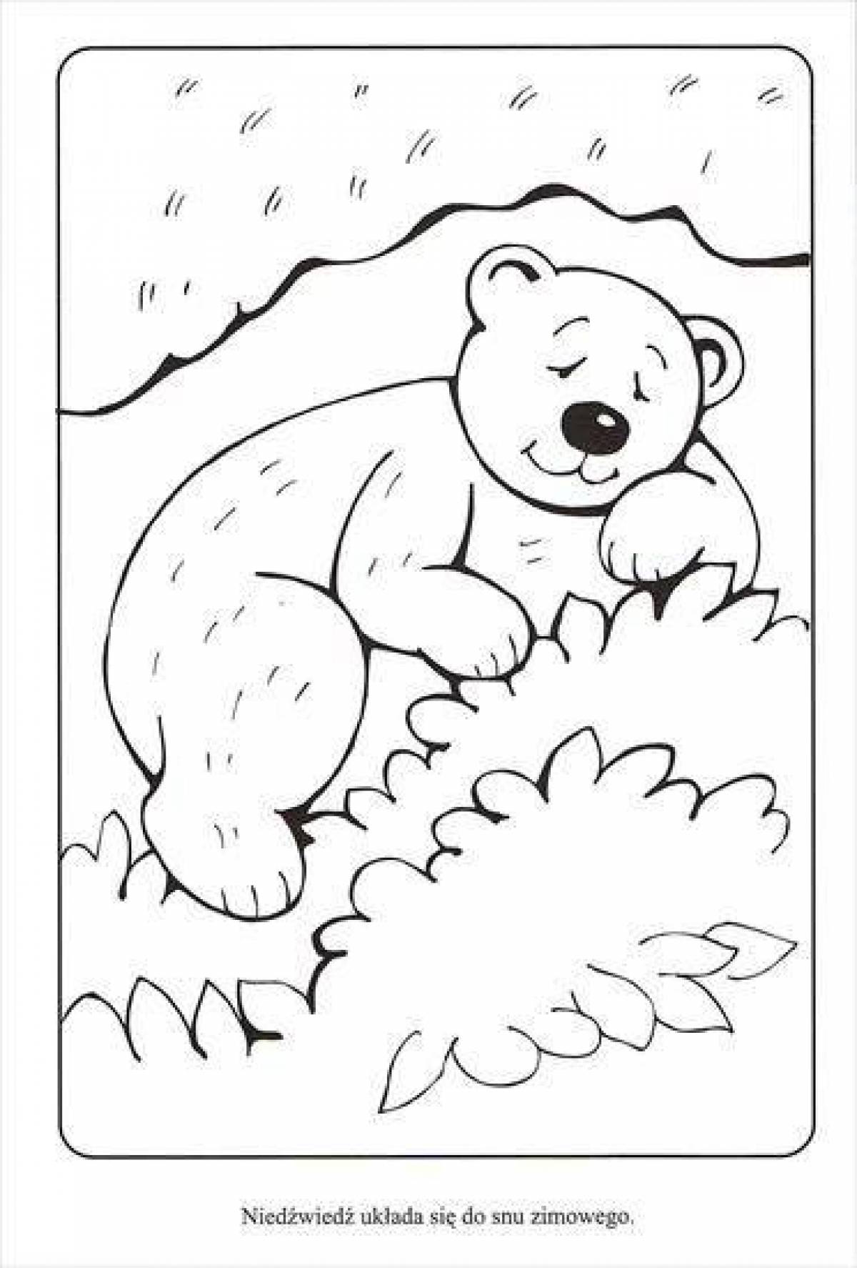 Раскраска радостный медведь в логове