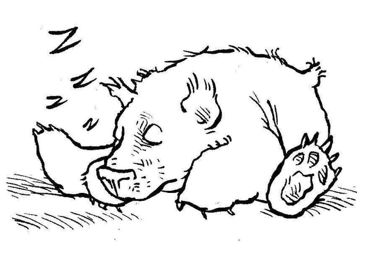 Amazing bear in a den coloring book