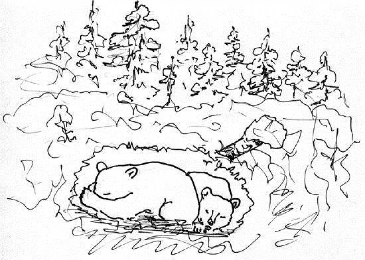 Раскраска тихий медведь в логове