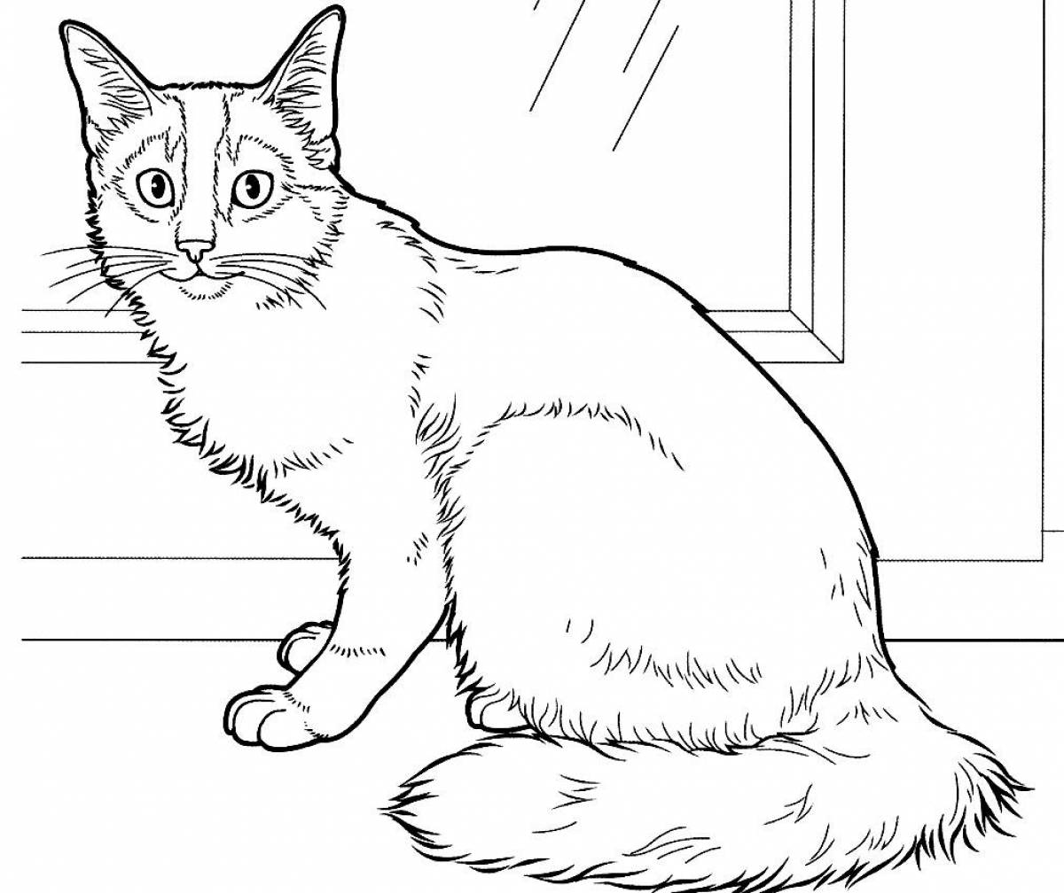 Calm cat coloring page