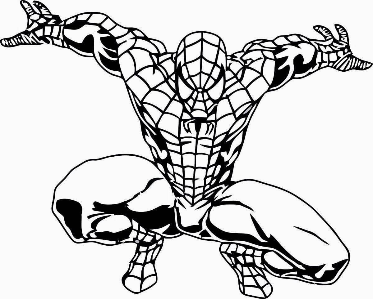Colorful spiderman coloring book for boys
