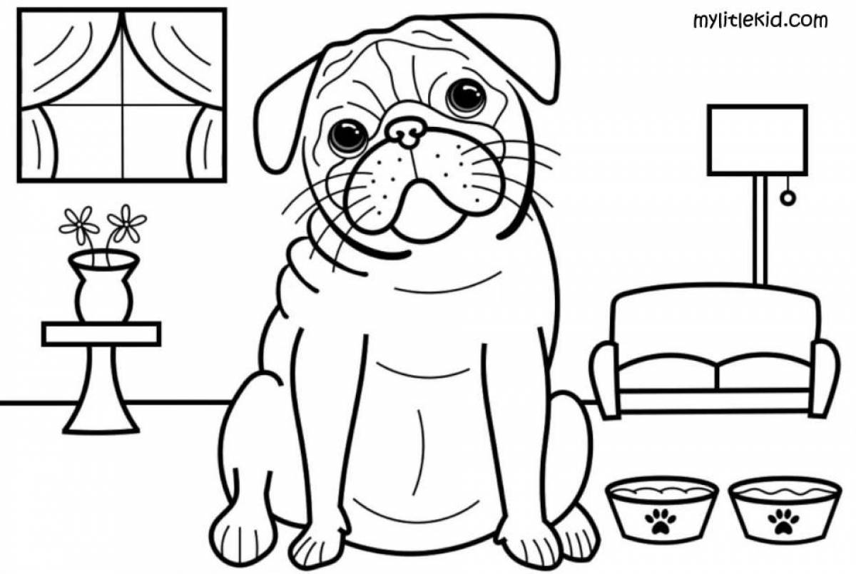 Unique dog coloring book for kids 6-7 years old
