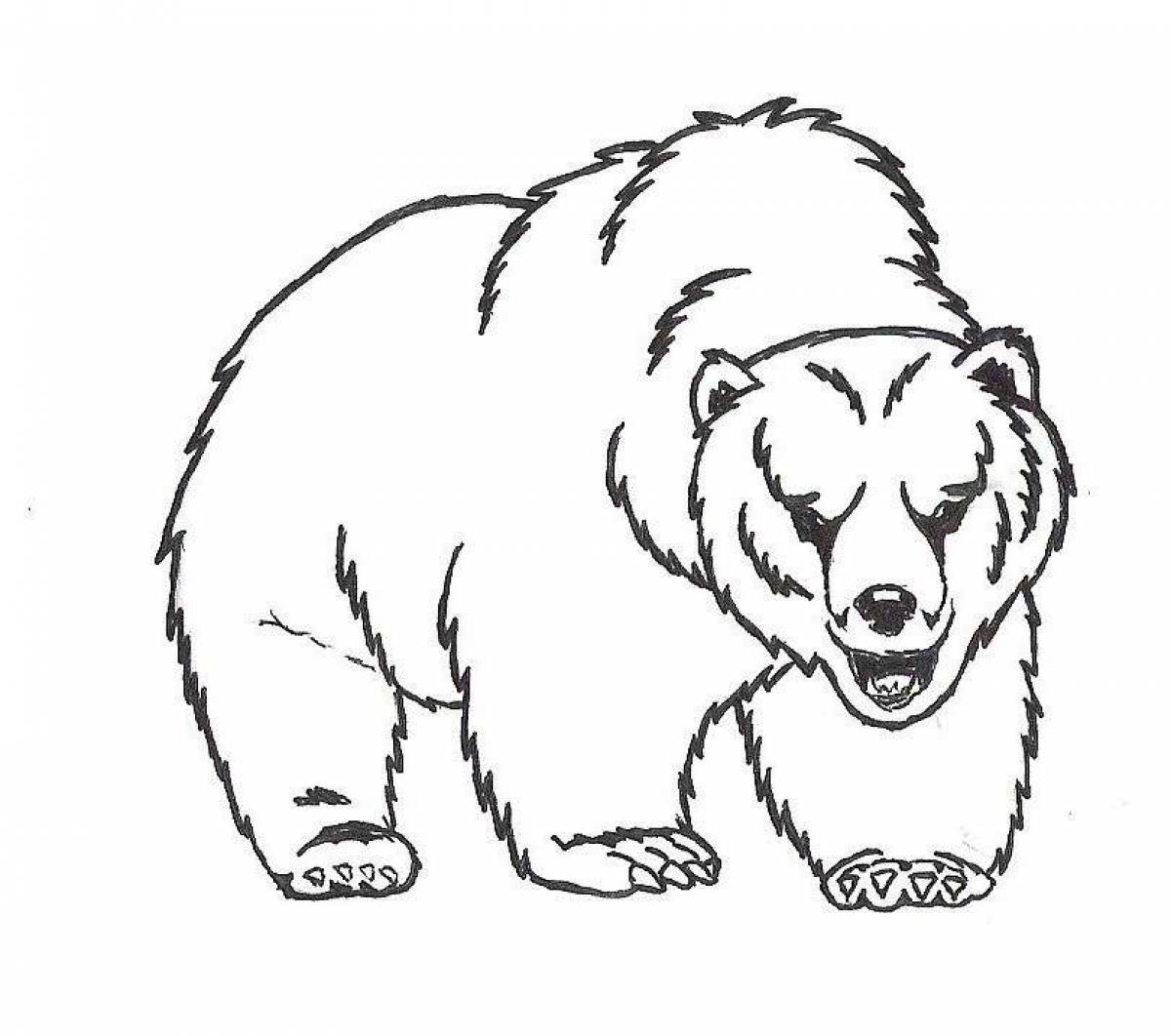 Медведь Гризли раскраска