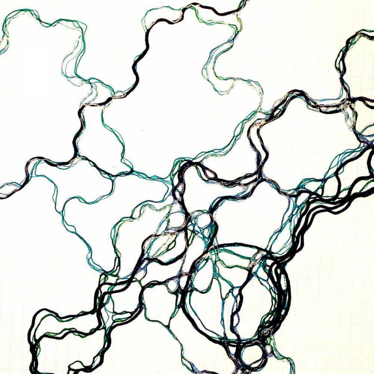 Нейрографика рисуют вектор. Павел песков нейрографика. Нейролинии в нейрографике. Нейродрево финансового роста нейрографика. Нейролинии в нейрографике как рисовать.