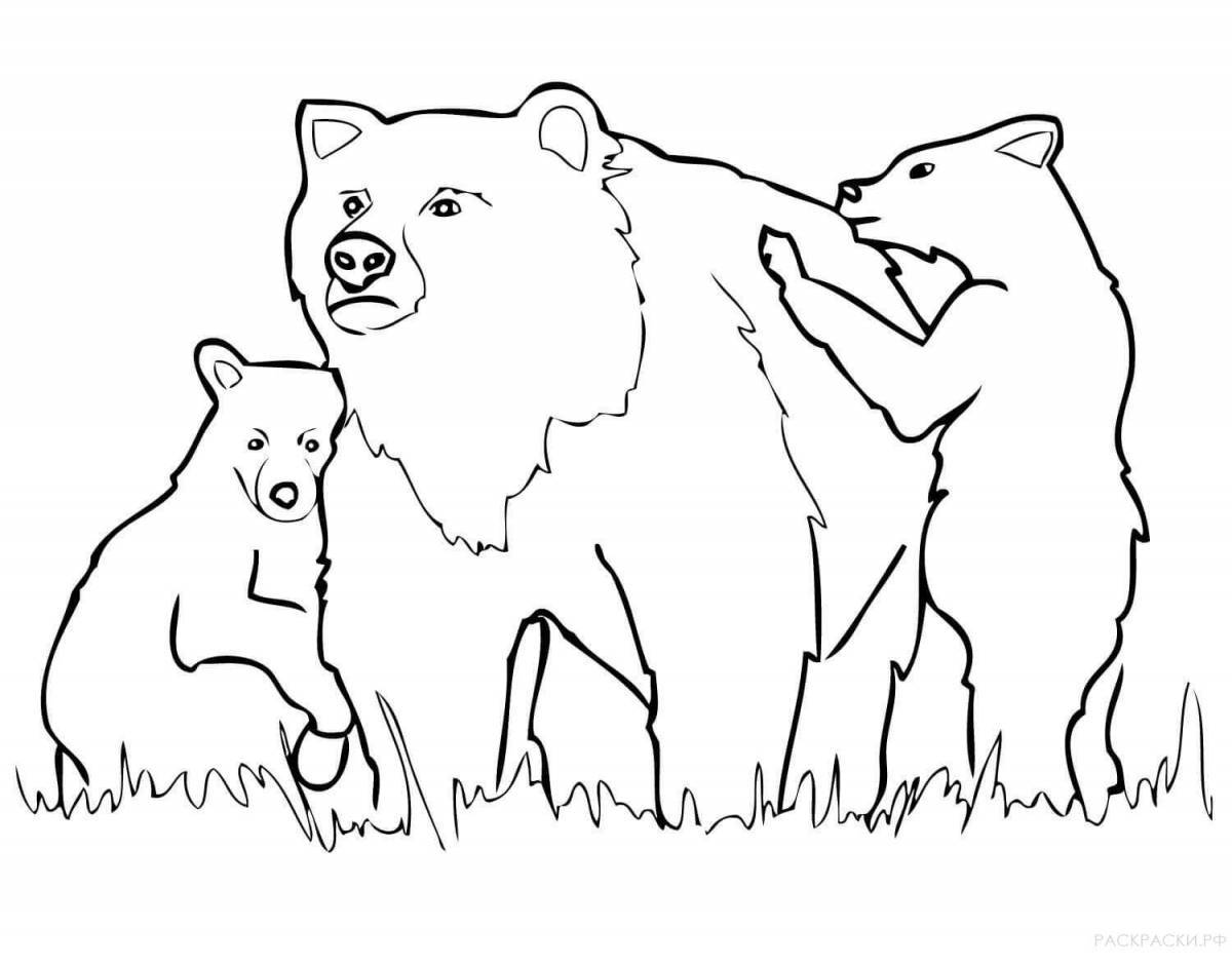 Coloring book fluffy brown bear