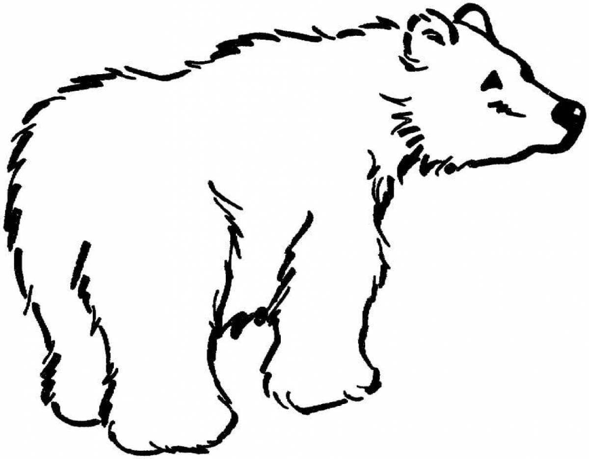 Gorgeous brown bear coloring page
