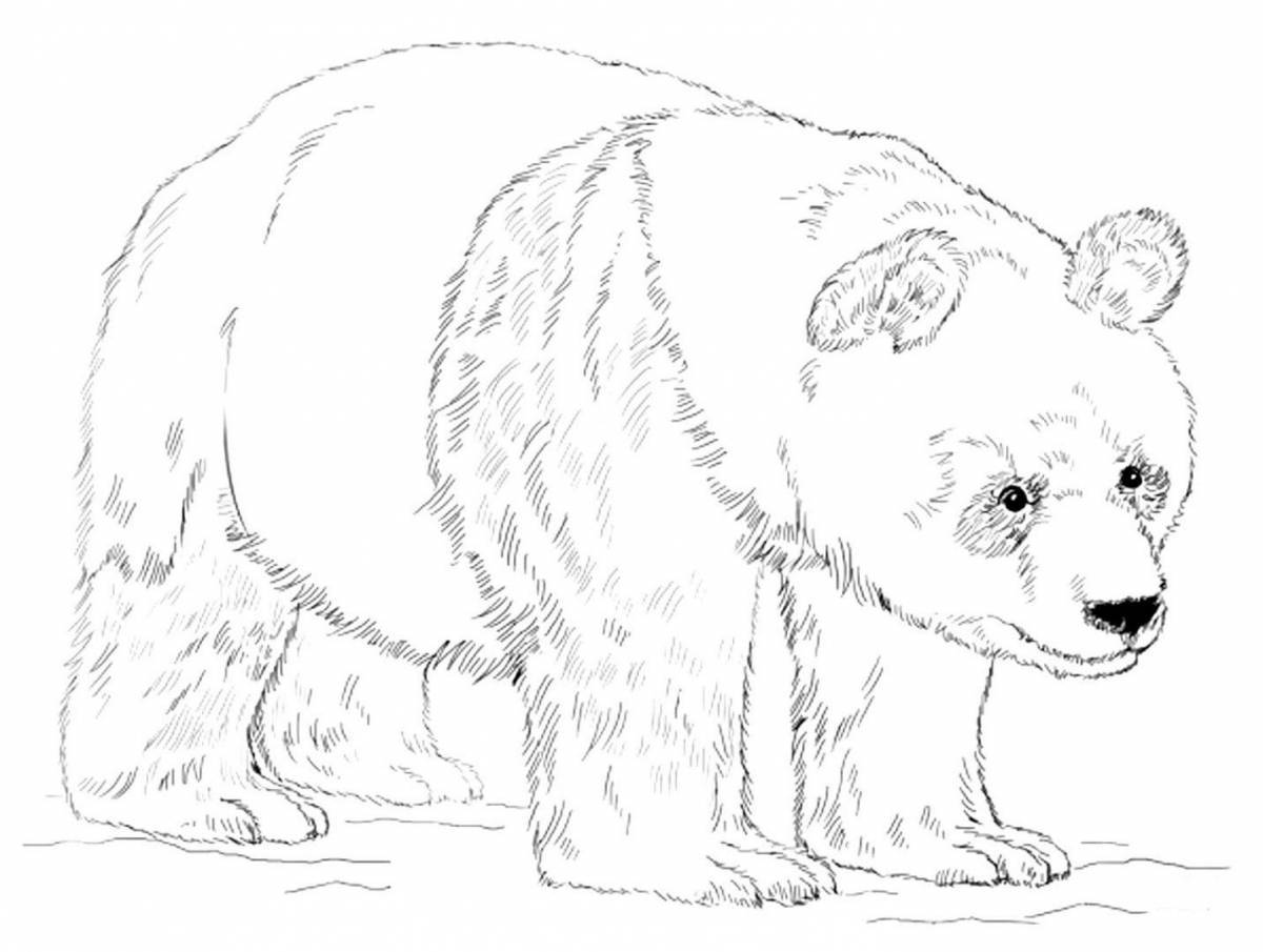Adorable brown bear coloring page