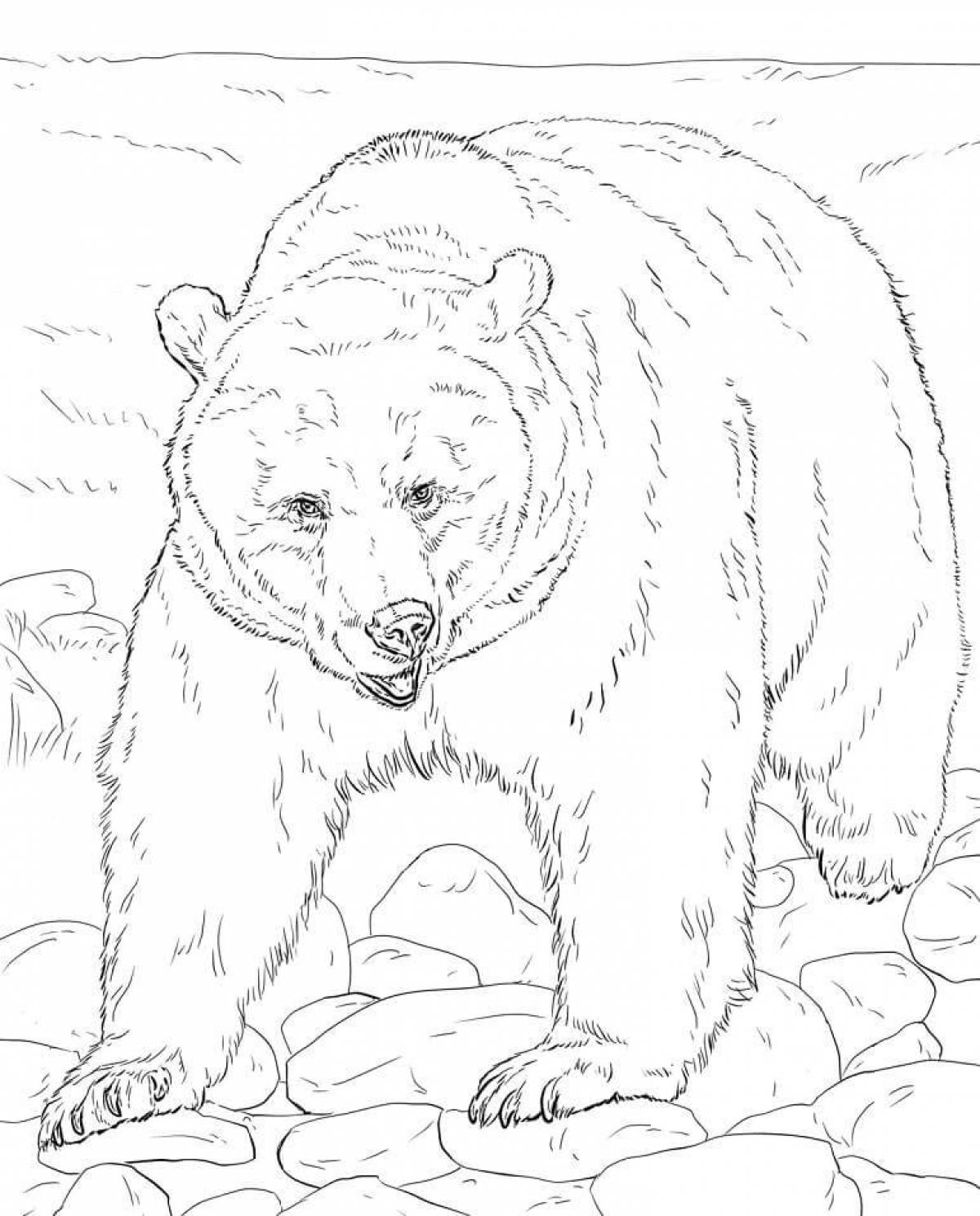Coloring page awesome brown bear