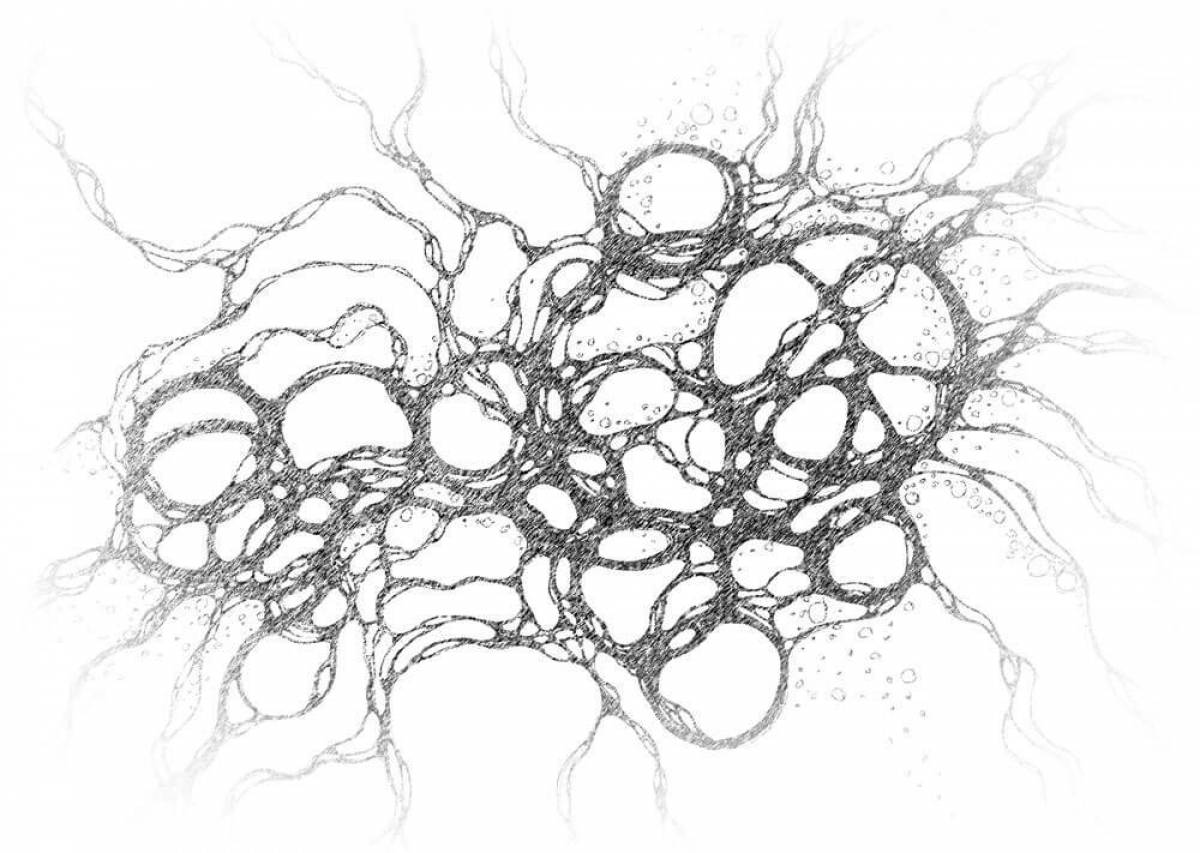 Привлекательная раскраска нейрография