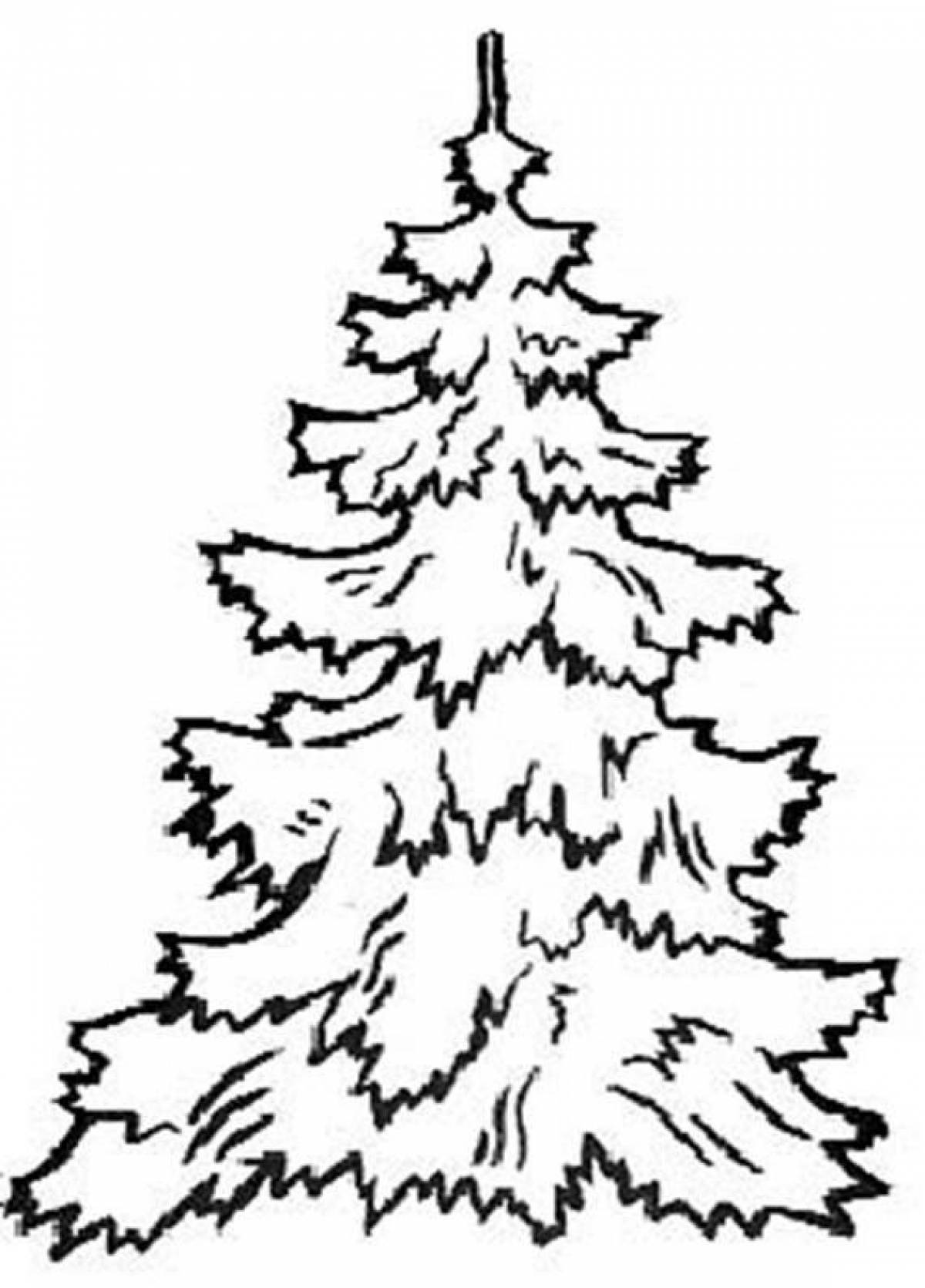 Coloring page happy spruce