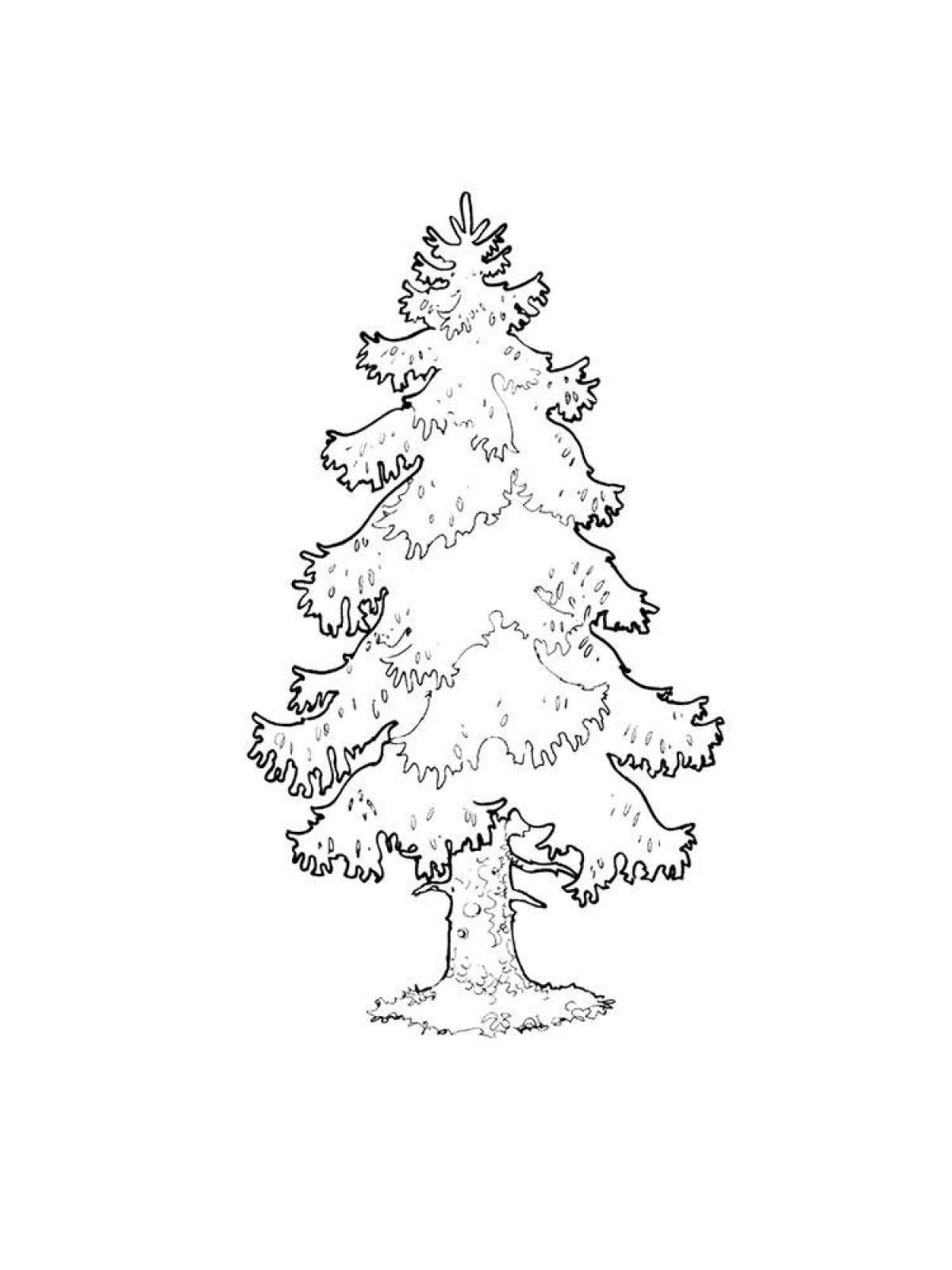 Coloring page captivating spruce
