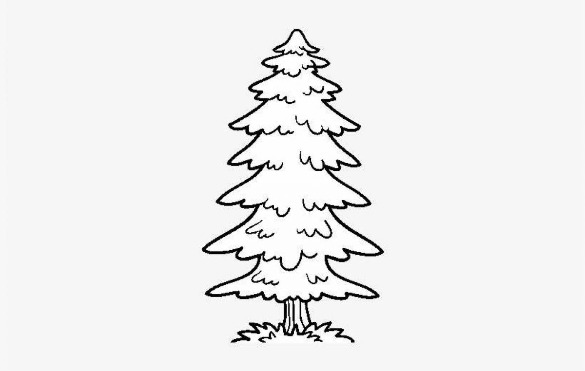 Coloring book inviting spruce