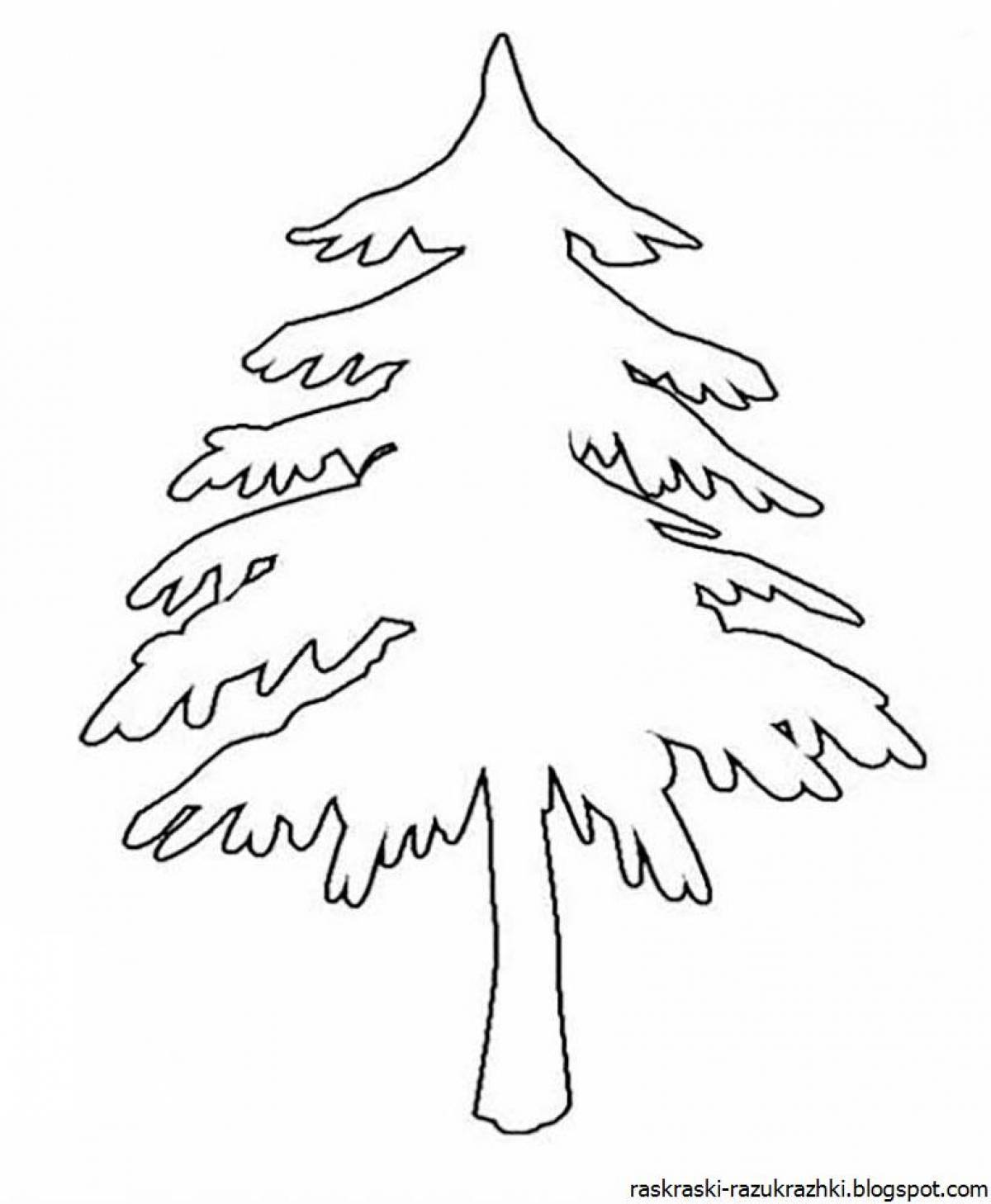 Charming spruce coloring book