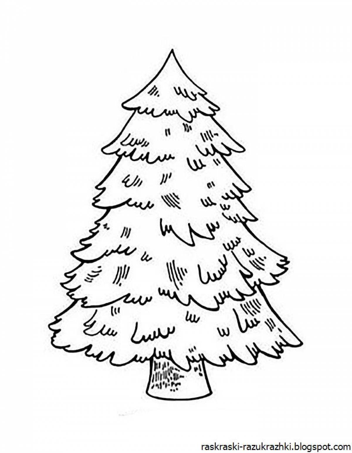 Sweet spruce coloring page