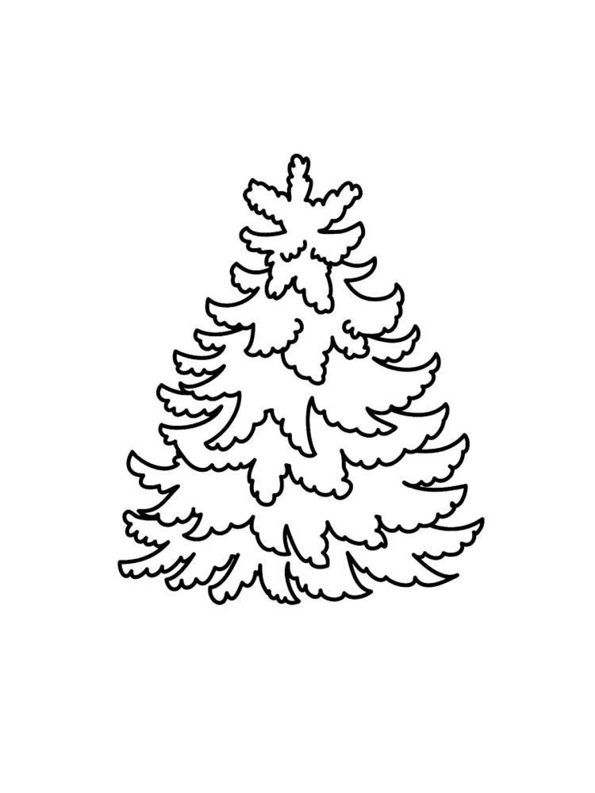 Incredible spruce coloring book