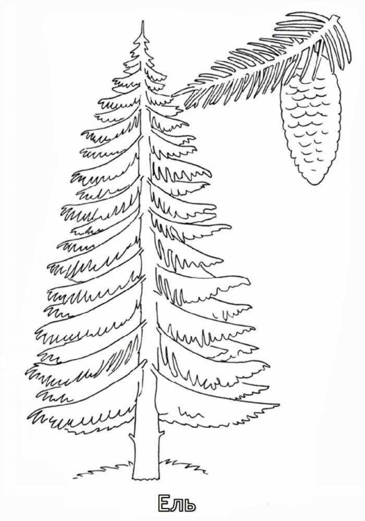 Ель раскраска для детей