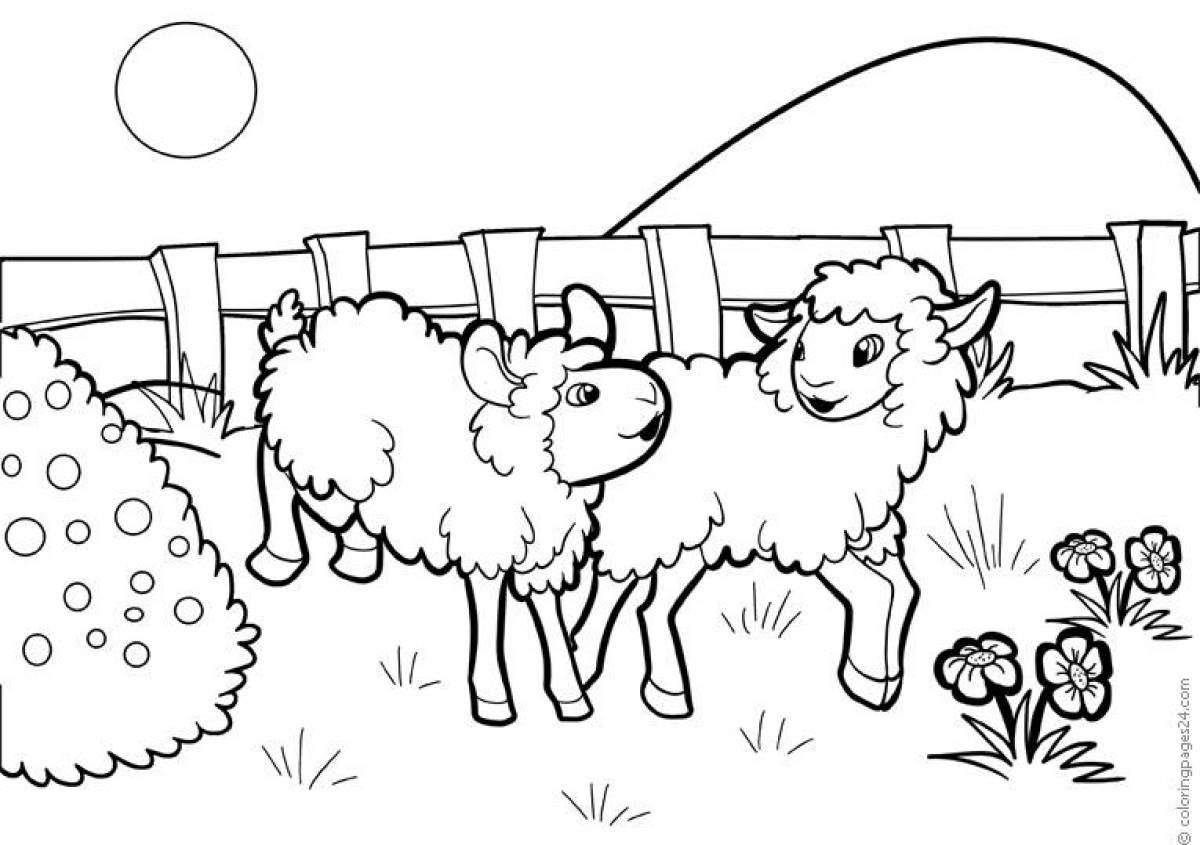 Буйный отель с овцами