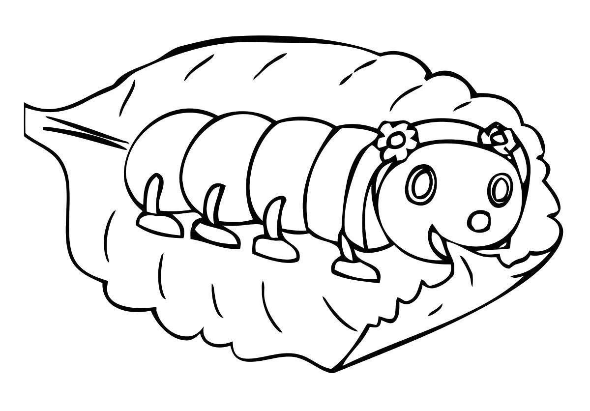 Exciting caterpillar coloring book for kids