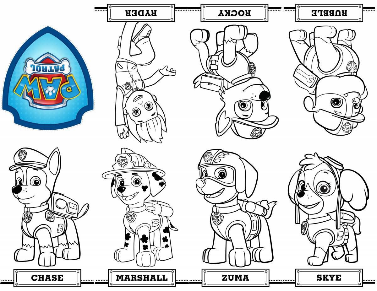 Rocky paw patrol humorous coloring book