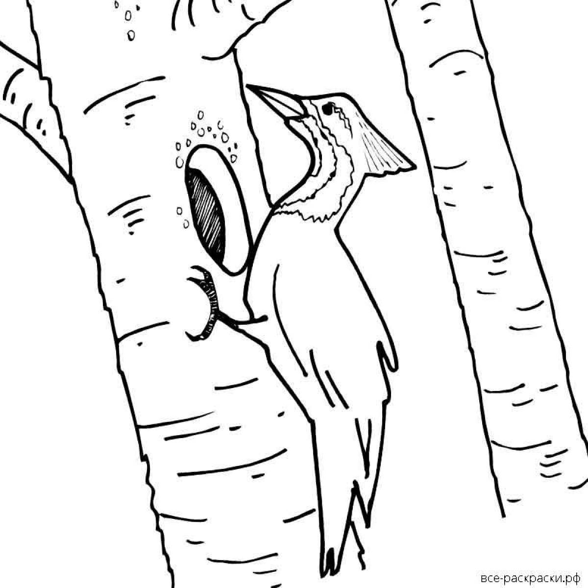 Cheerful woodpecker coloring for children