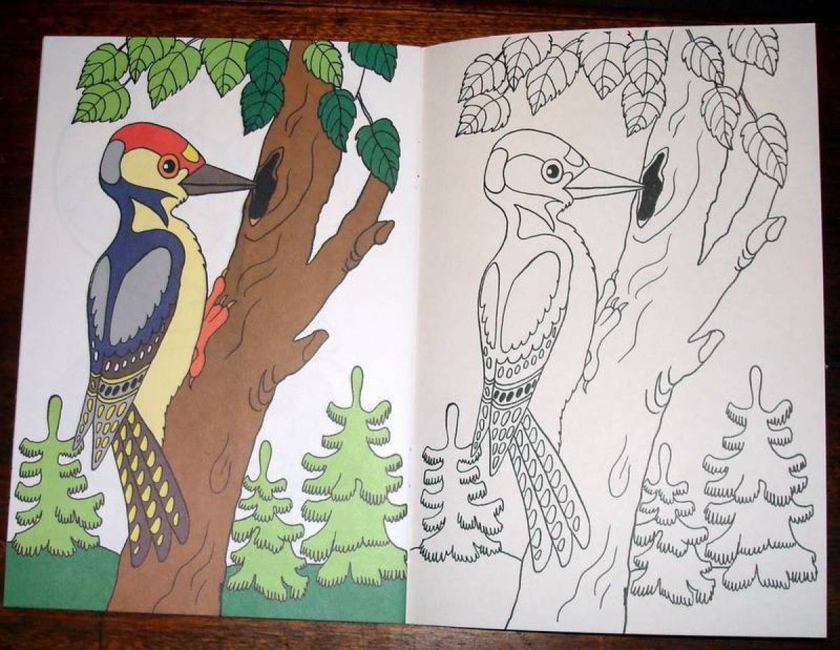 Coloring book happy woodpecker for kids