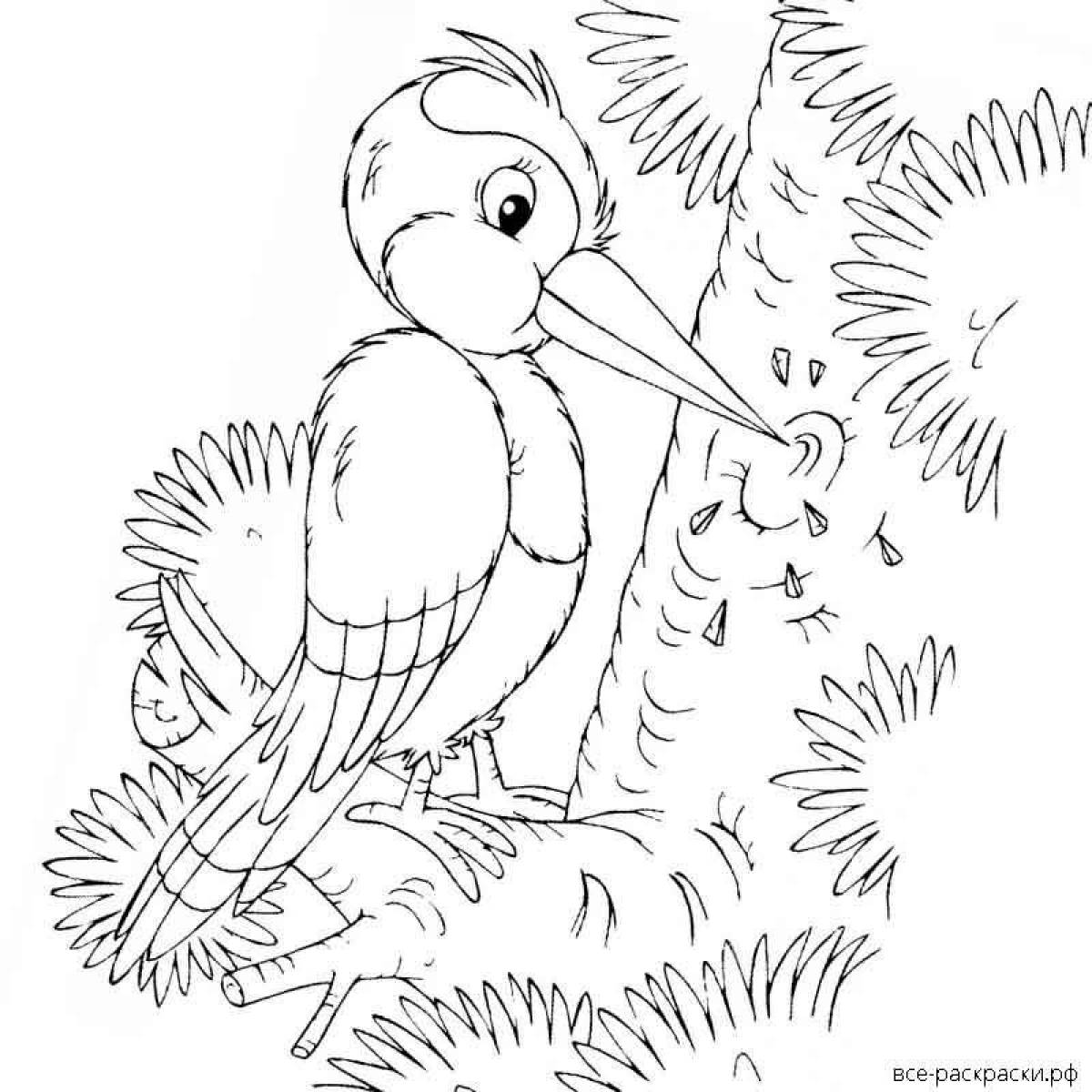 Amusing woodpecker coloring book for kids