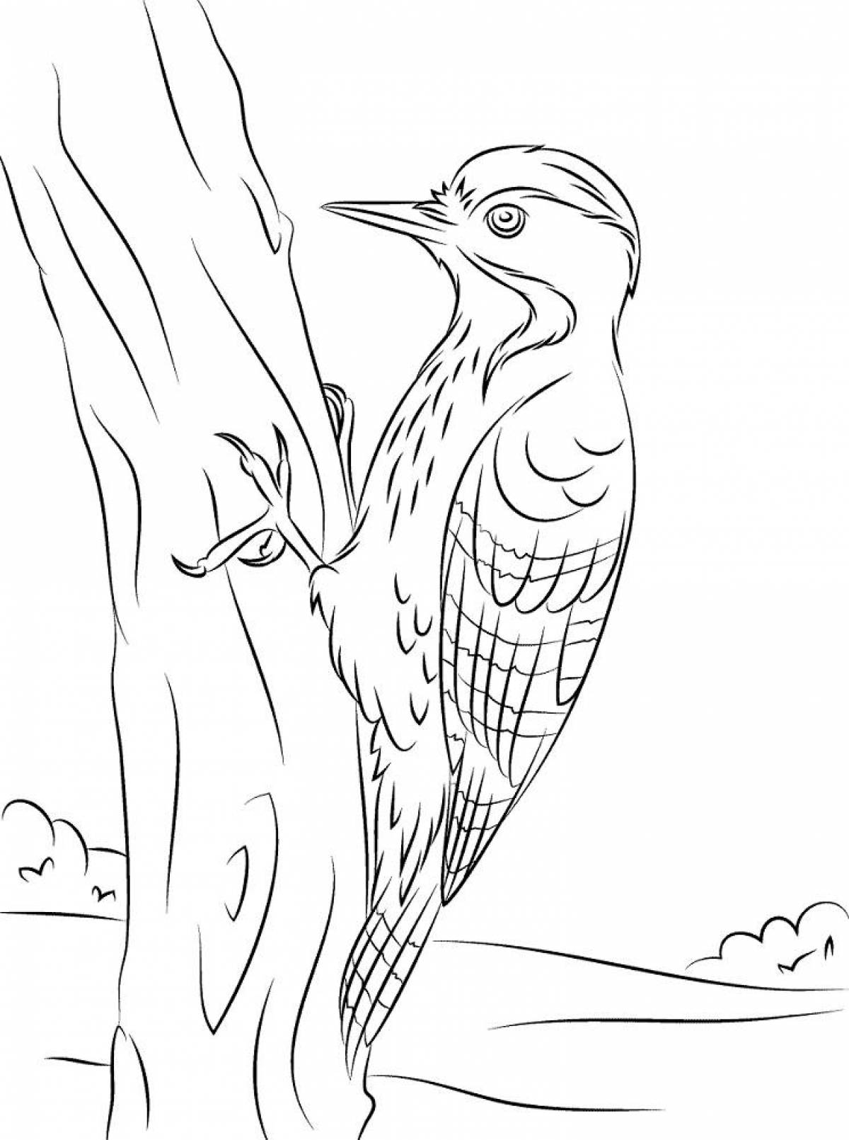 Cute woodpecker coloring pages for kids