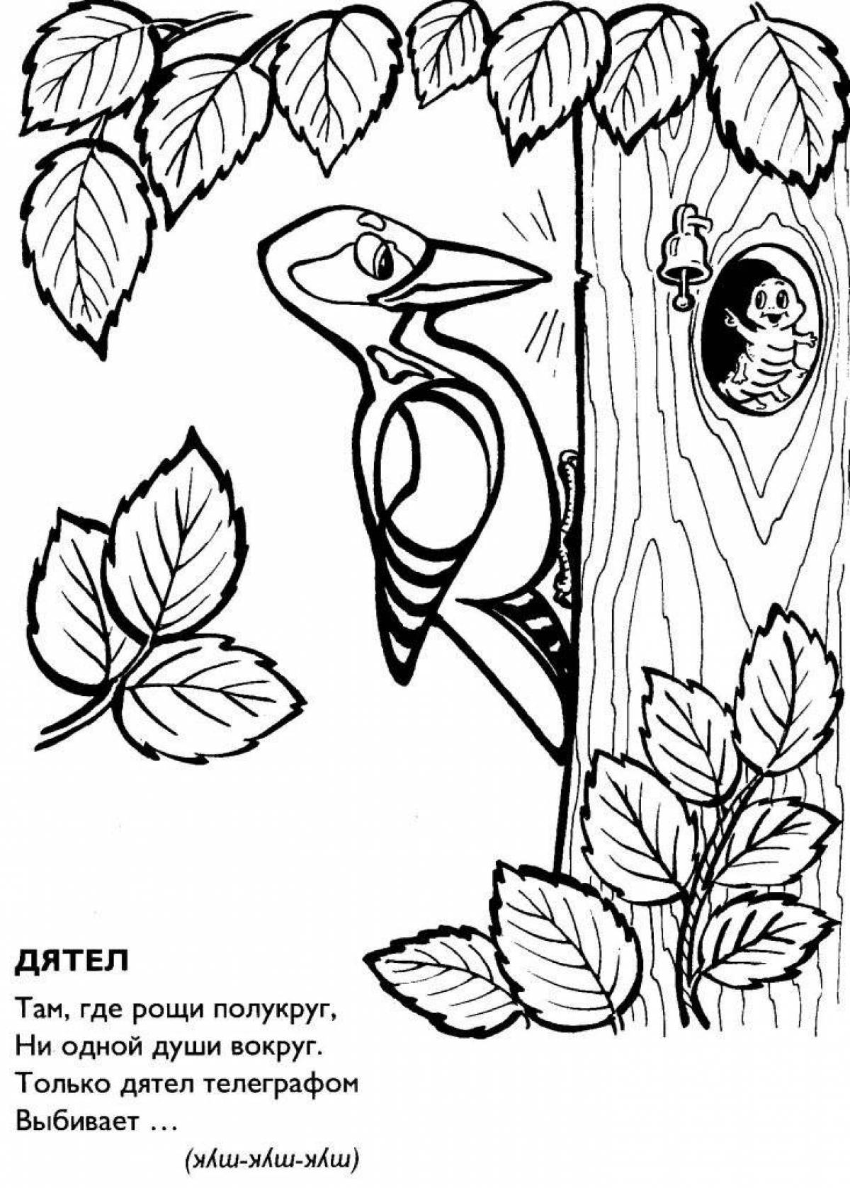Cute woodpecker coloring book for kids