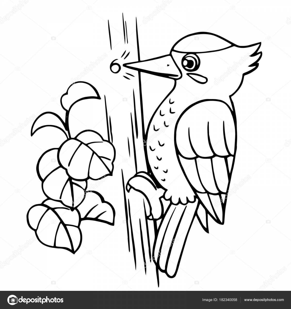 Amazing woodpecker coloring book for kids