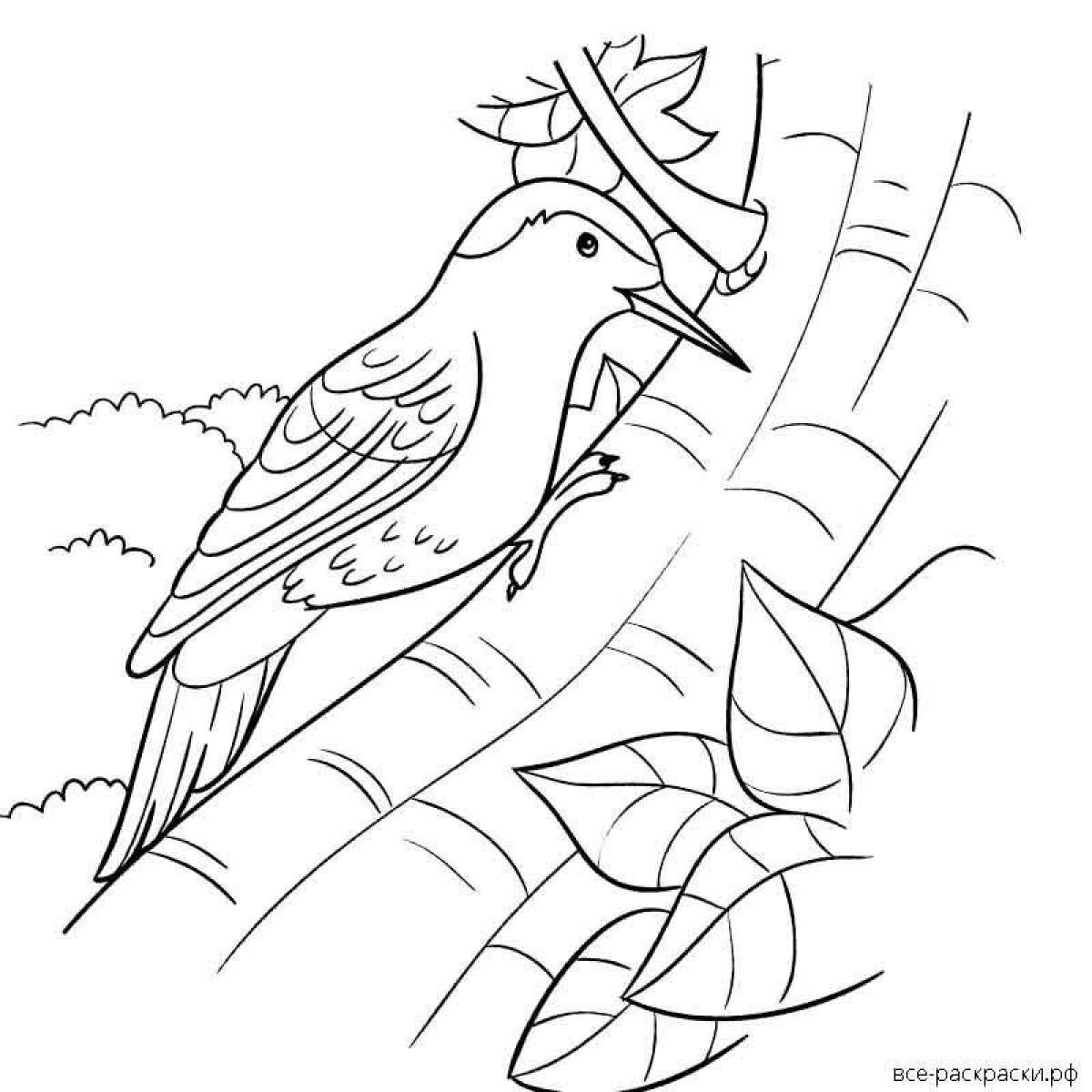 Attractive woodpecker coloring book for kids