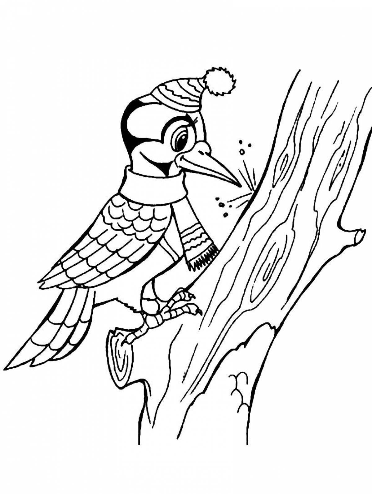 Coloring book cheeky woodpecker for kids