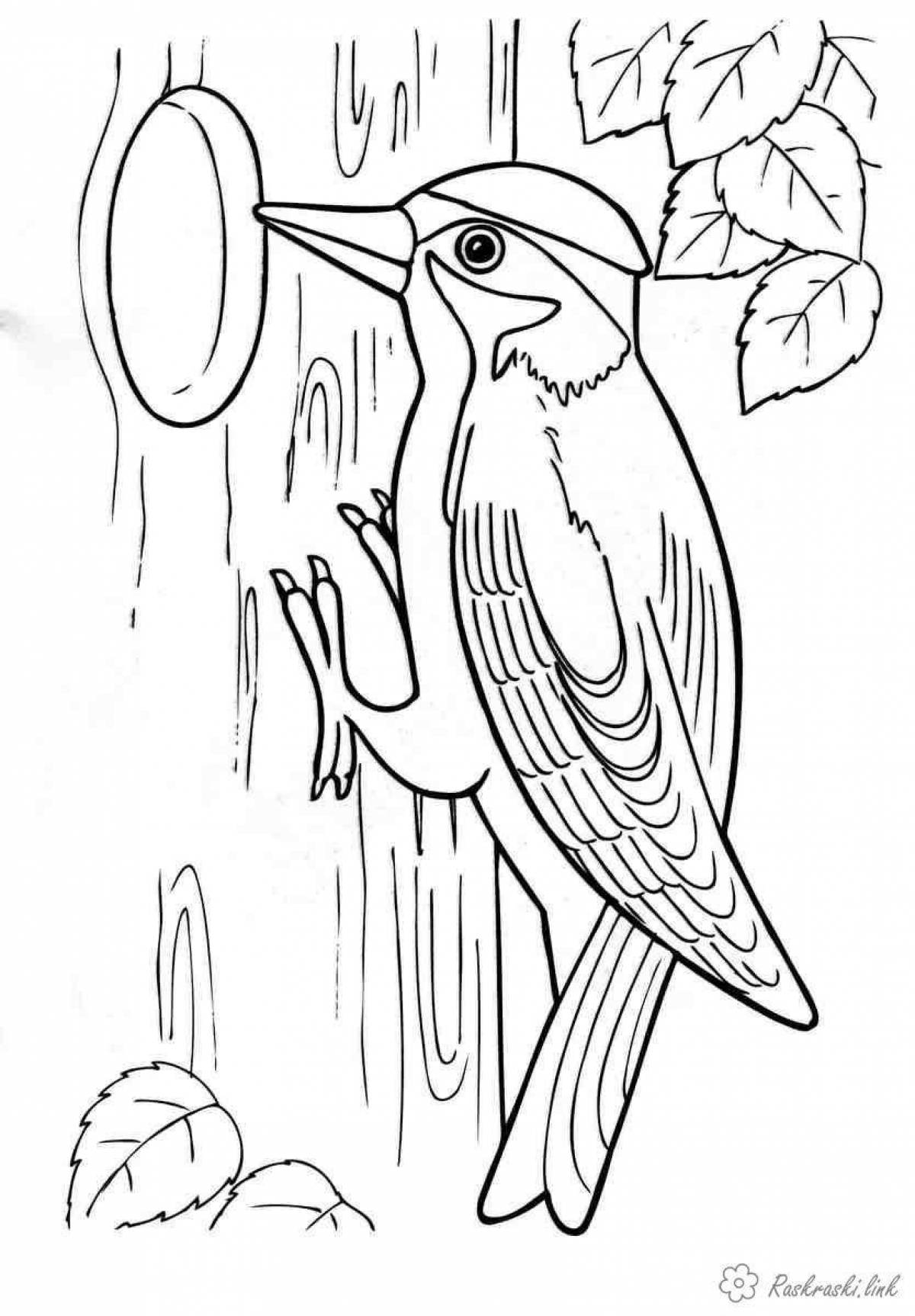 Intriguing woodpecker coloring book for kids