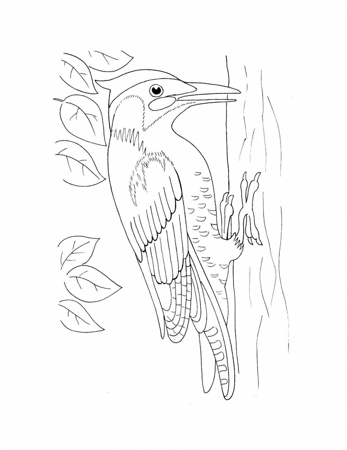 An interesting woodpecker coloring book for kids