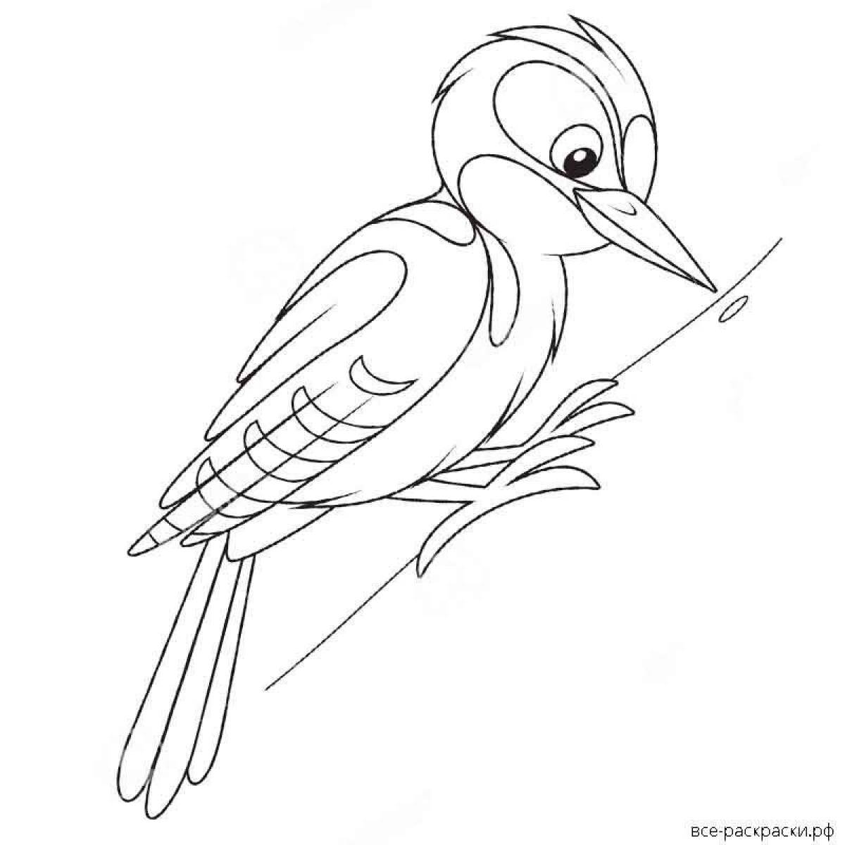 Unique woodpecker coloring book for kids