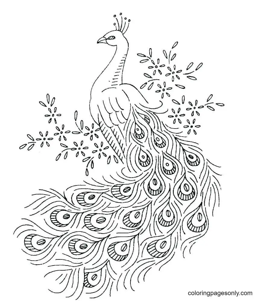 Glorious fiery bird coloring pages for children