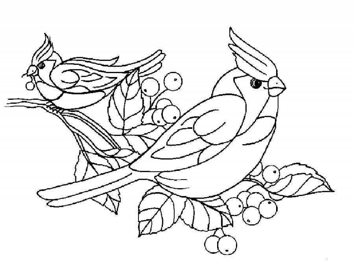 Colorful bird coloring page for 6-7 year olds