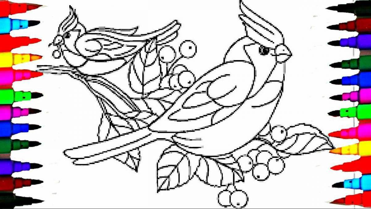 A cheerful bird coloring book for children 6-7 years old