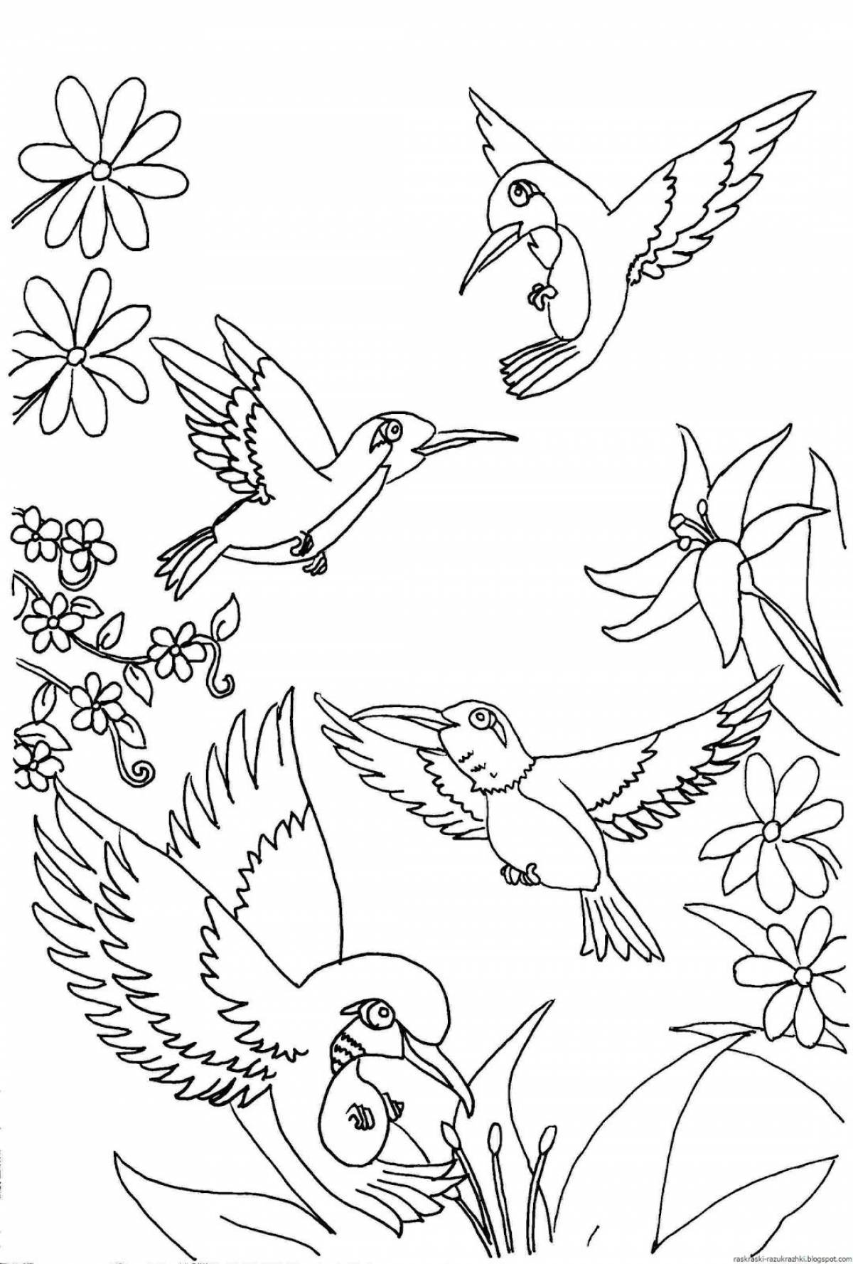 Очаровательная раскраска с птицами для детей 6-7 лет