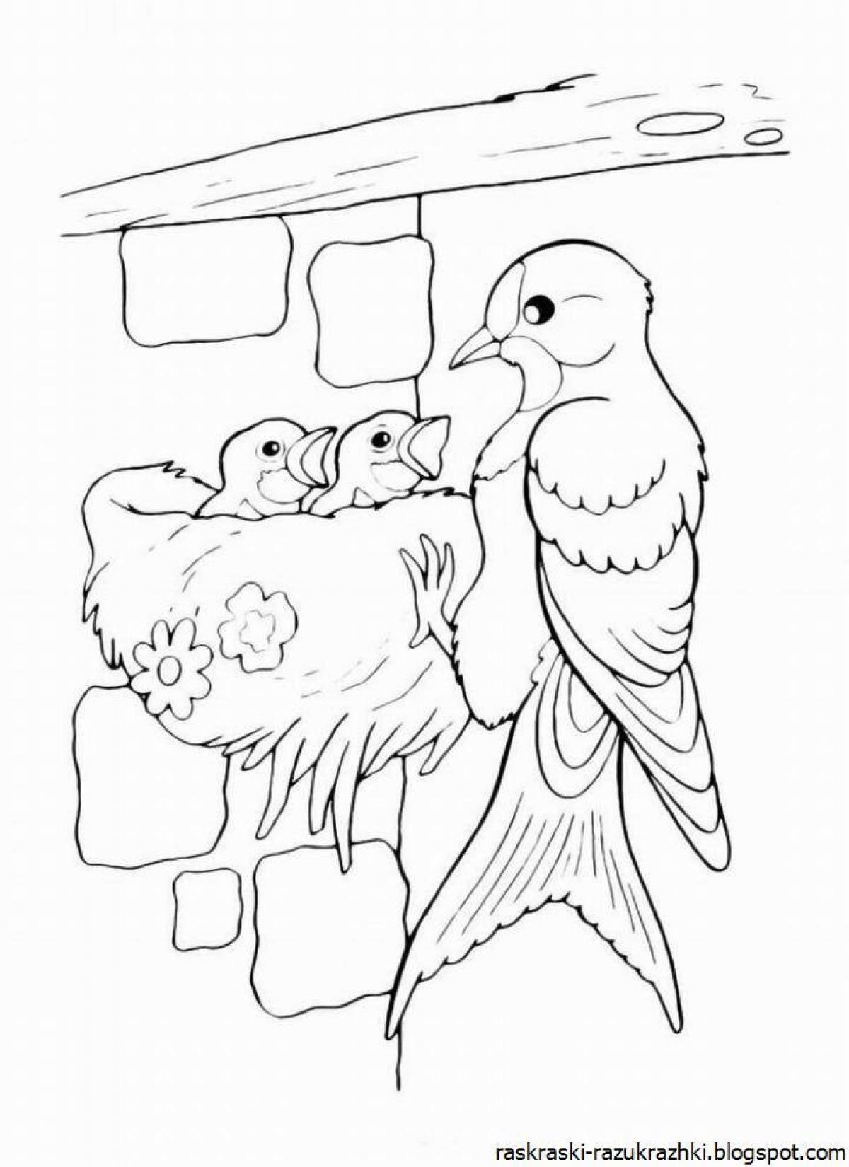 Раскраска с милой птицей для детей 6-7 лет