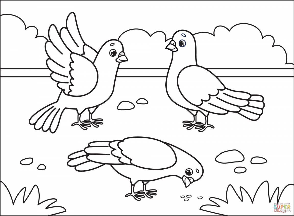 Splendid bird coloring book for children 6-7 years old