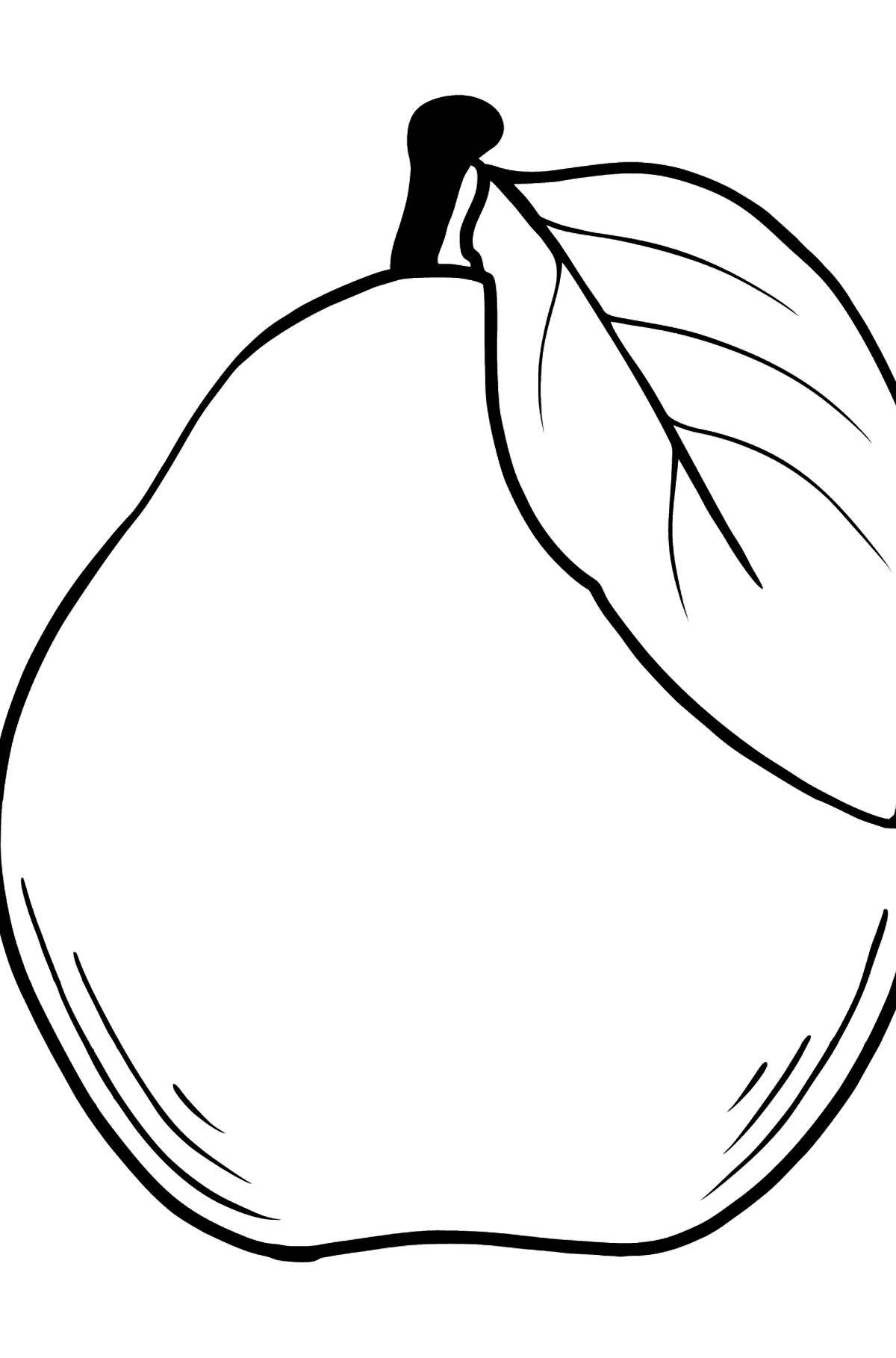 Fascinating pear coloring book for kids