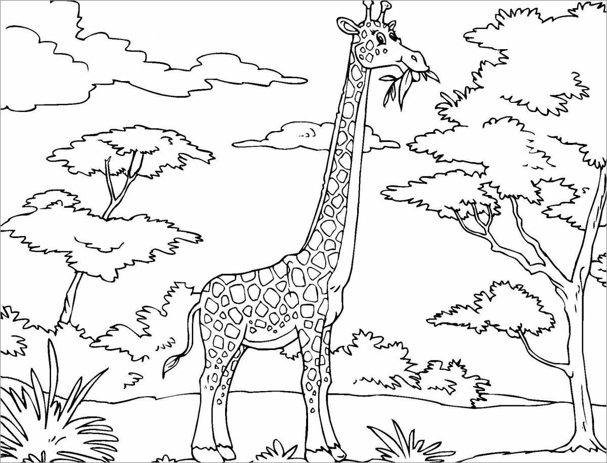 African animals coloring pages