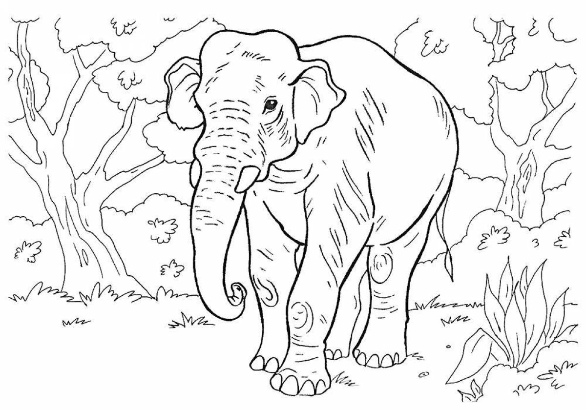 Exotic african animal coloring pages