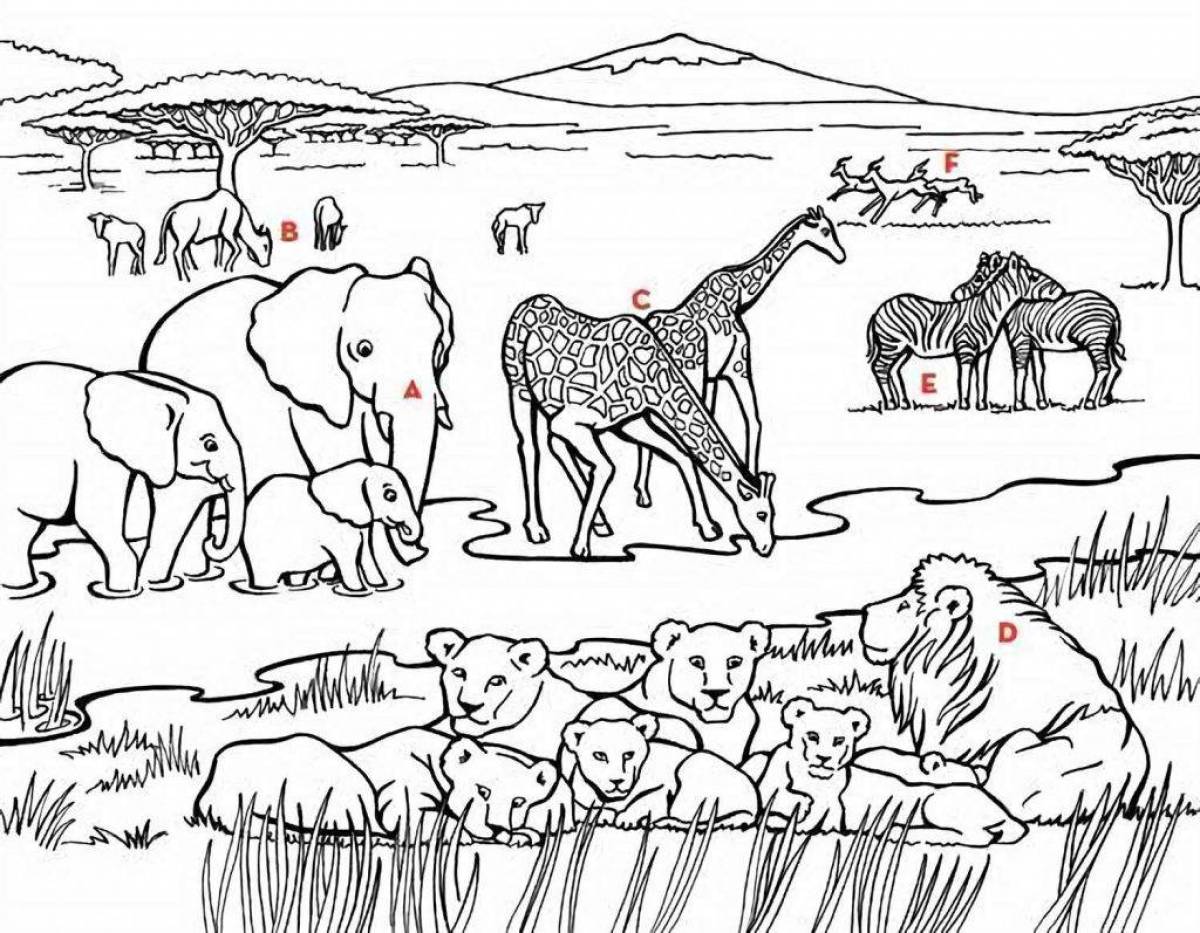 Coloring pages of African animals
