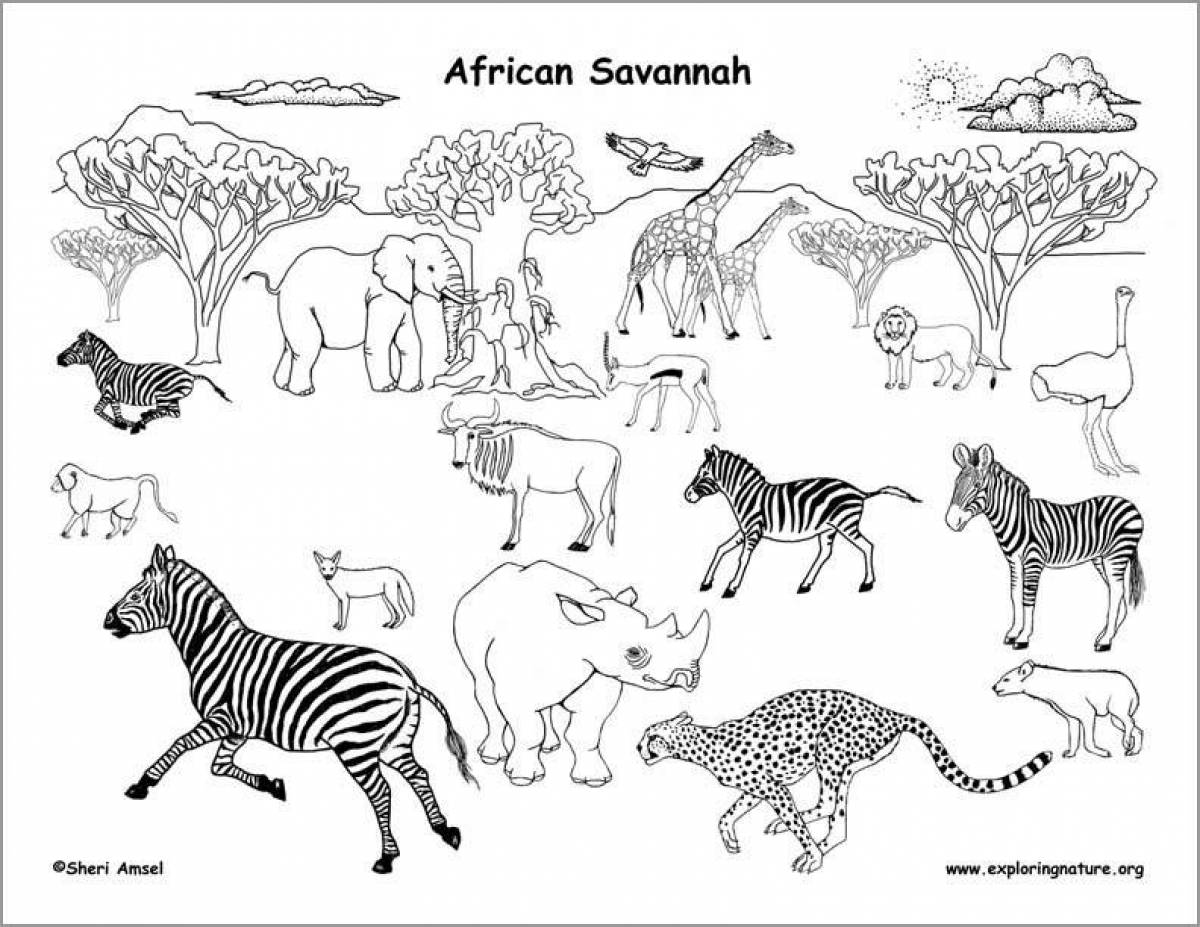 Безмятежная раскраска африканские животные