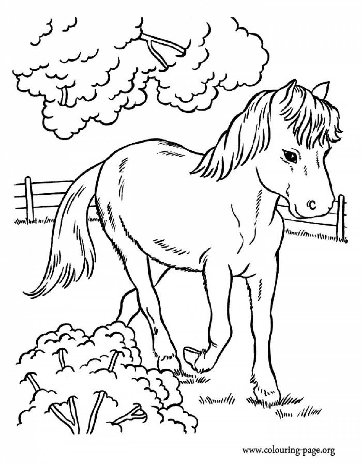 Luxury horse coloring pages for girls