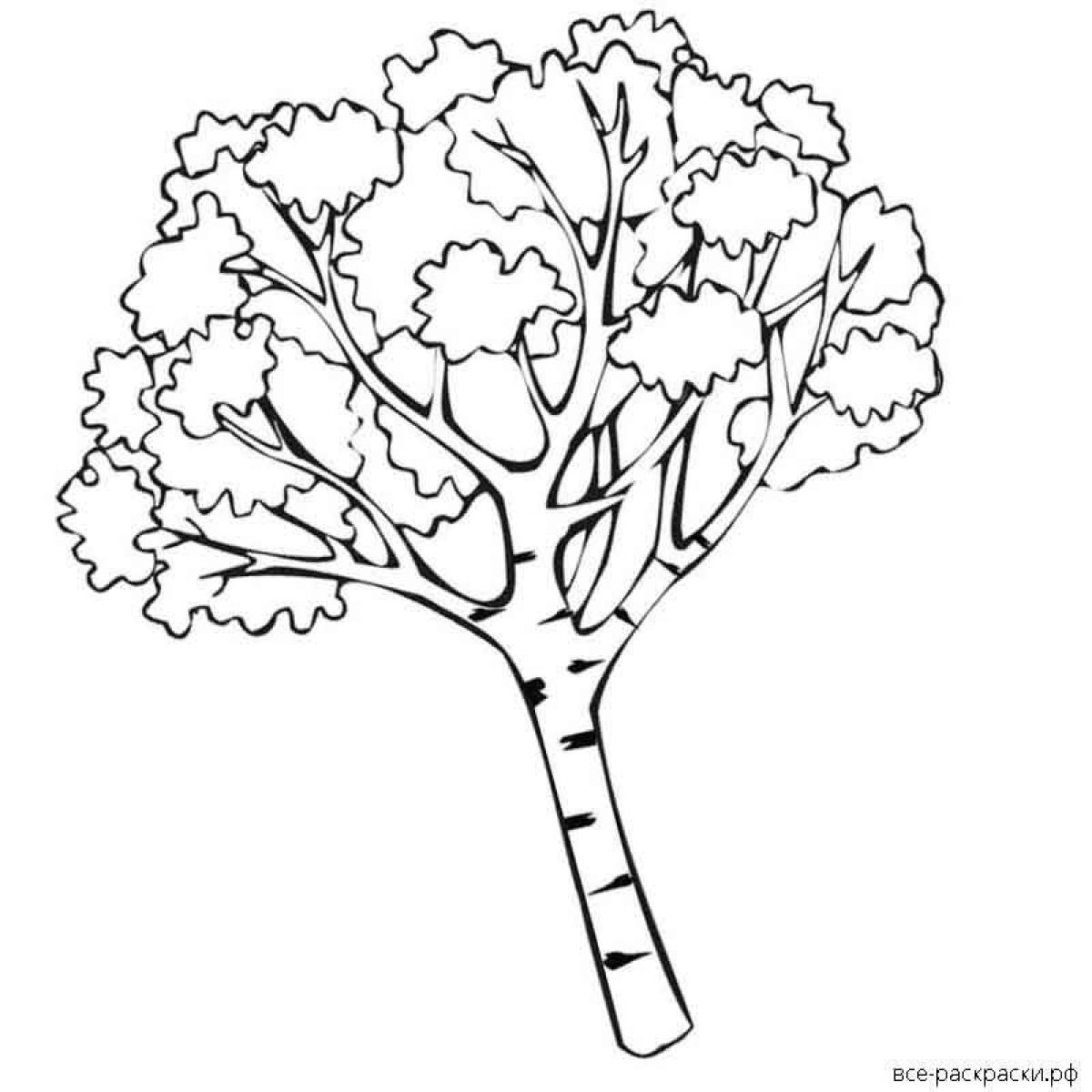 Colorful birch tree coloring page for kids
