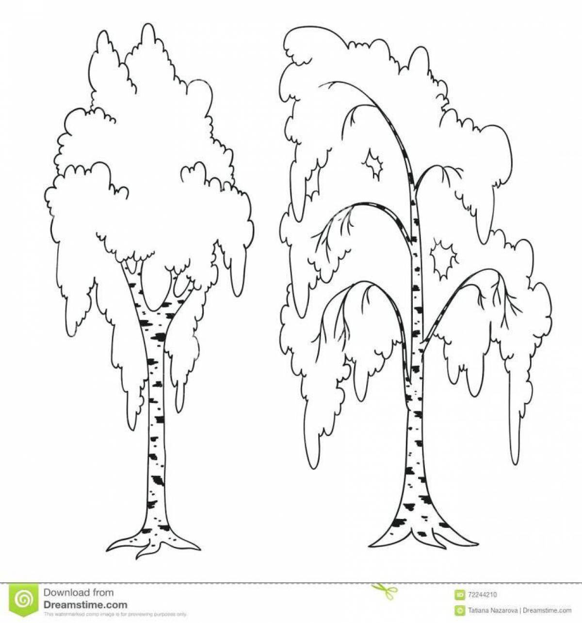 Adorable birch coloring page for kids