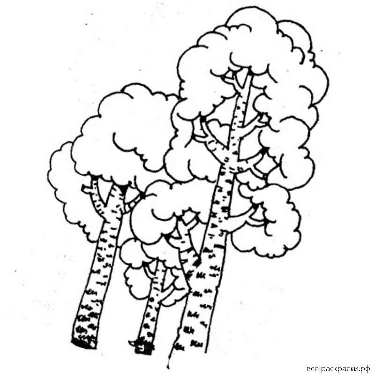 Funny birch coloring book for kids