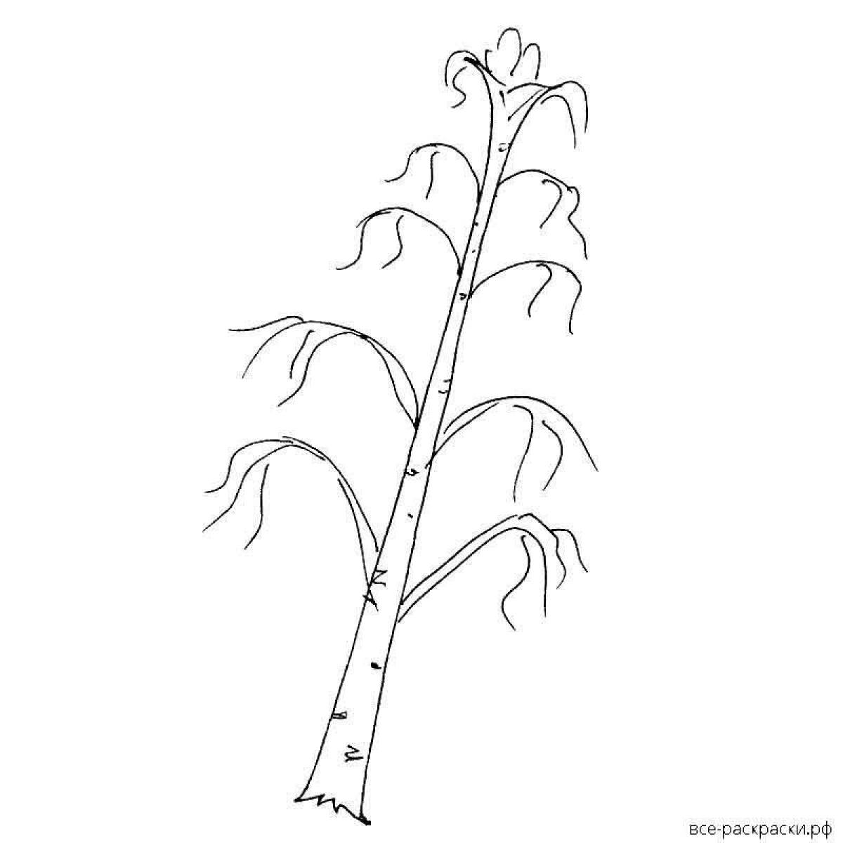 Living birch coloring book for kids
